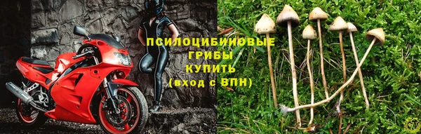 таблы Арсеньев