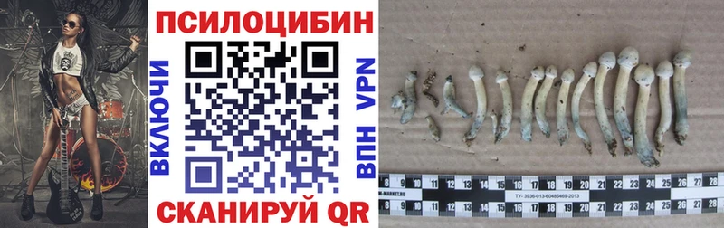 где найти наркотики  Купино  Псилоцибиновые грибы ЛСД 