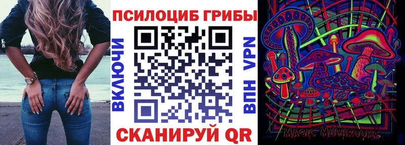 Псилоцибиновые грибы мухоморы Купино
